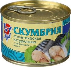 Скумбрия атлантическая в масле